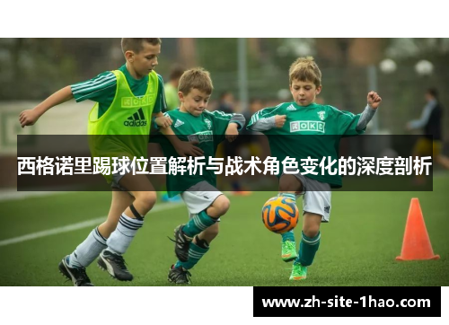 西格诺里踢球位置解析与战术角色变化的深度剖析