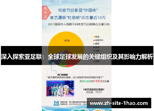 深入探索亚足联：全球足球发展的关键组织及其影响力解析