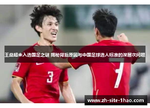 王燊超未入选国足之谜 揭秘背后原因与中国足球选人标准的深层次问题