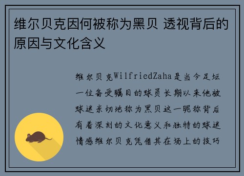 维尔贝克因何被称为黑贝 透视背后的原因与文化含义 维尔贝克因何被称为黑贝 透视背后的原因与文化含义