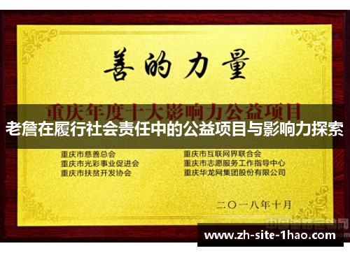 老詹在履行社会责任中的公益项目与影响力探索