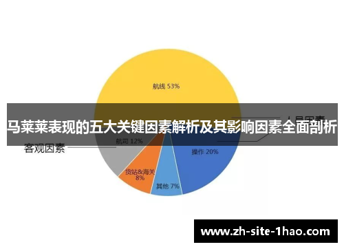 马莱莱表现的五大关键因素解析及其影响因素全面剖析